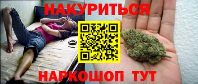 дмт Краснодар