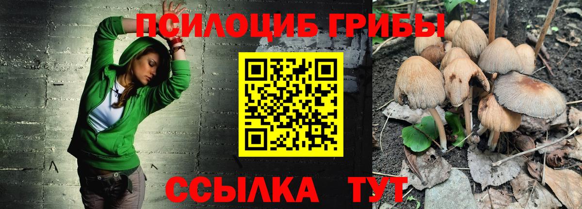 Урай  Галлюциногенные грибы Psilocybine cubensis  Вход с VPN 